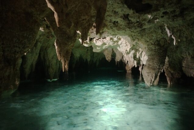Cenotes Private Tour — Cavern & Open Swim