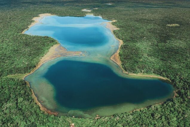 Punta Laguna Private Tour — Monkeys, Canoe & Cenote