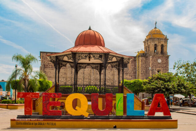 Discover Tequila, Distillery, Tasting, Cantaritos!