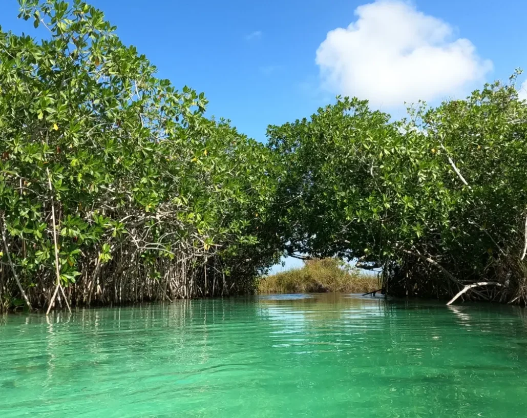 IMG_20221204_002211_530